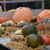 Marché aux Puces à Koetzingue, le dimanche 7 septembre 2014